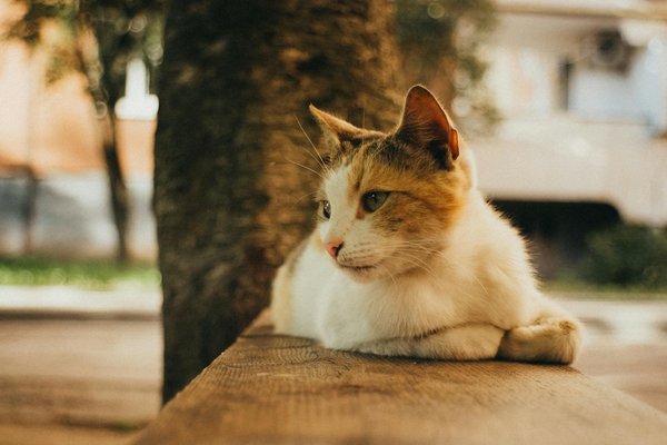 Bahnbrechende Erkenntnisse ab 2024 und darüber hinaus: Ein Blick in die Zukunft